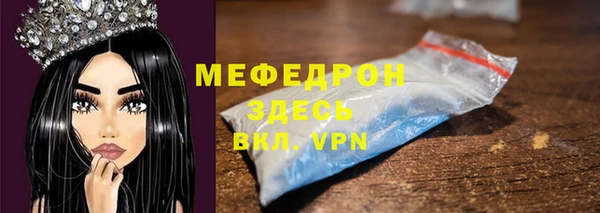 индика Новозыбков