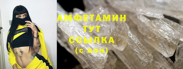 индика Новозыбков