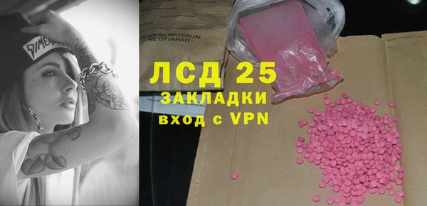 индика Новозыбков