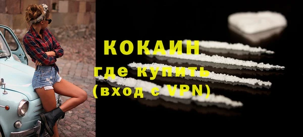 индика Новозыбков