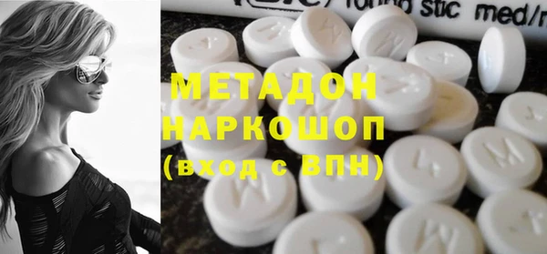 индика Новозыбков