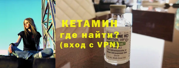 индика Новозыбков