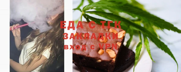 индика Новозыбков