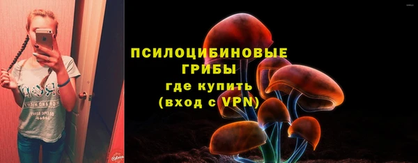 индика Новозыбков