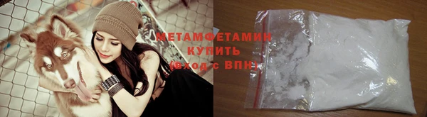 индика Новозыбков
