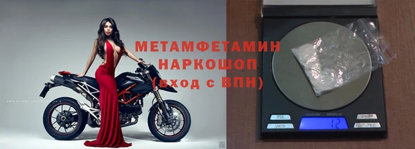 индика Новозыбков