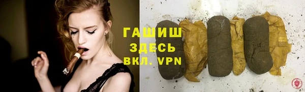 индика Новозыбков