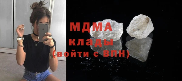 индика Новозыбков