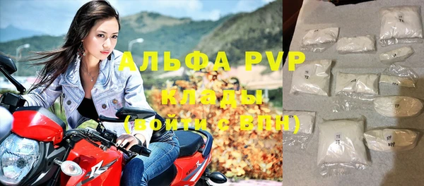 индика Новозыбков