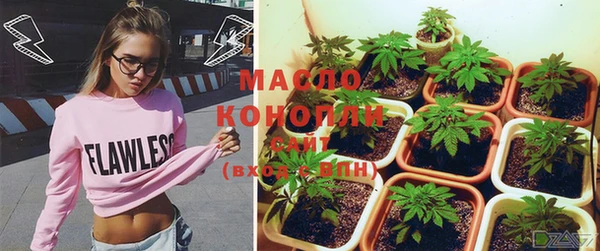 индика Новозыбков