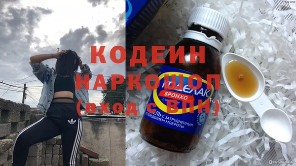 индика Новозыбков