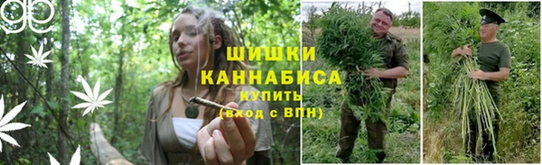 мет Новодвинск