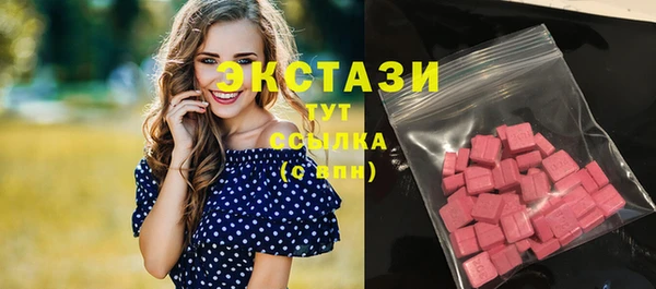 индика Новозыбков