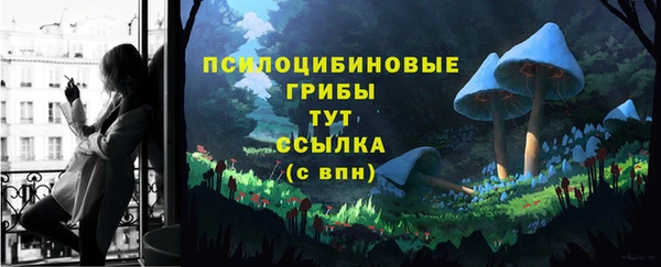 мет Новодвинск
