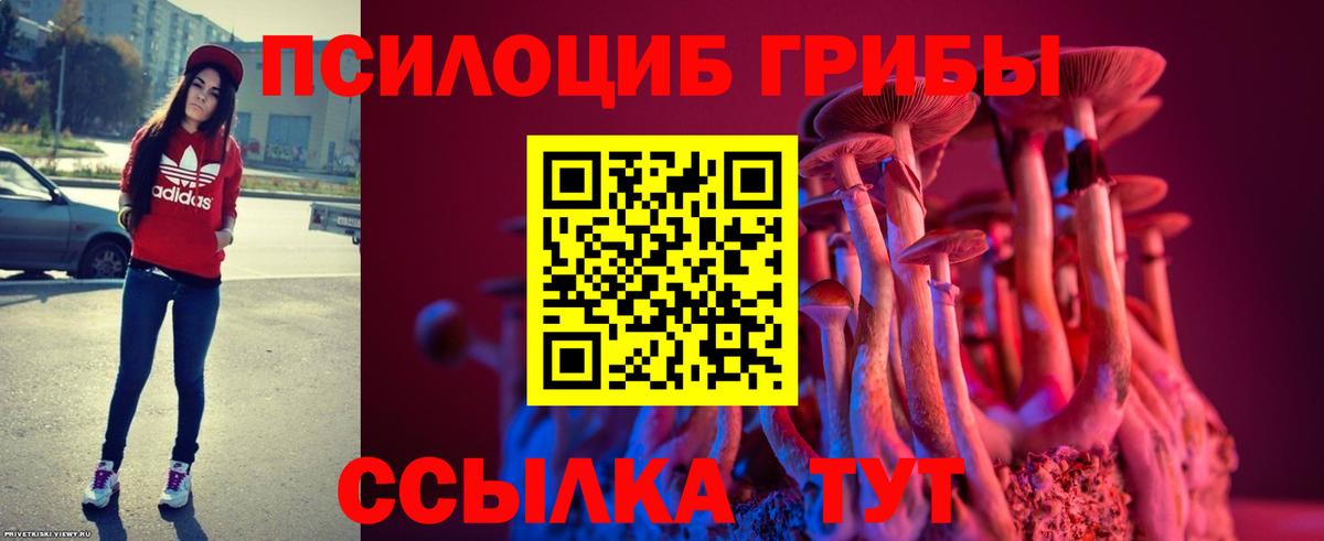 Псилоцибиновые грибы мухоморы  Галлюциногенные грибы прущие грибы  Грозный 