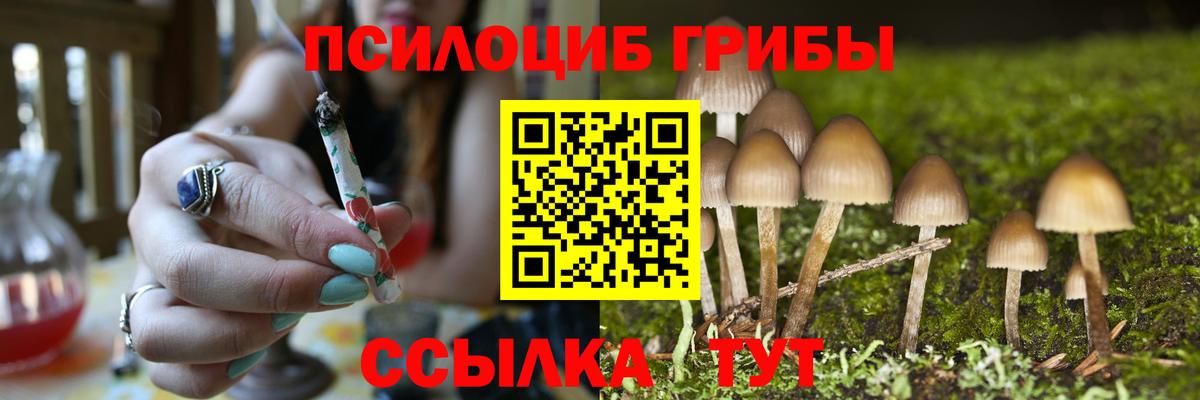 Галлюциногенные грибы MAGIC MUSHROOMS  Вход с VPN  Грозный 
